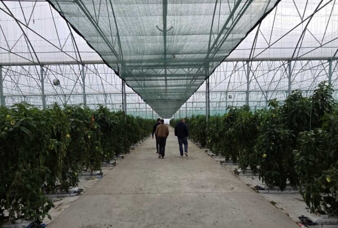Visit to One of the Most Advanced Greenhouse Projects in Serbia — Confirming the Potential